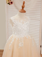 A-line Lace Tulle Floor-length Pink Dress (010226589)