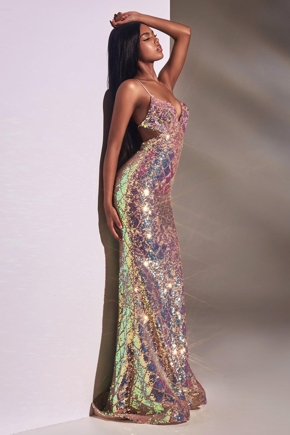 Fitted Long Sexy Prom Gown