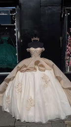 Sparkly Off The Shoulder Ball Gown Sweet 16 Dress Y1609